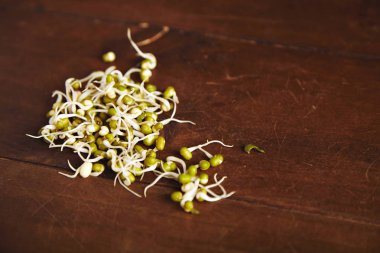 Masada soya fasulye filizi