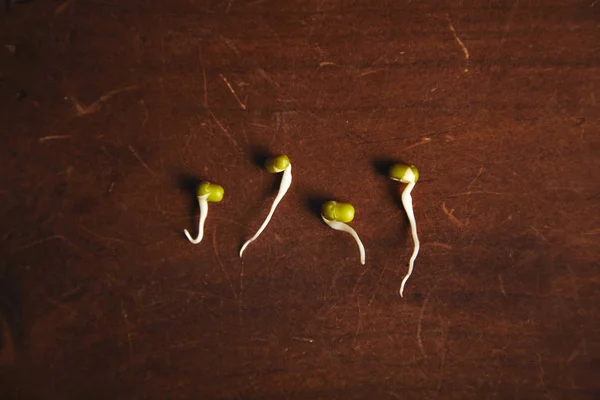 Soy bean sprouts on table — Stock Photo, Image