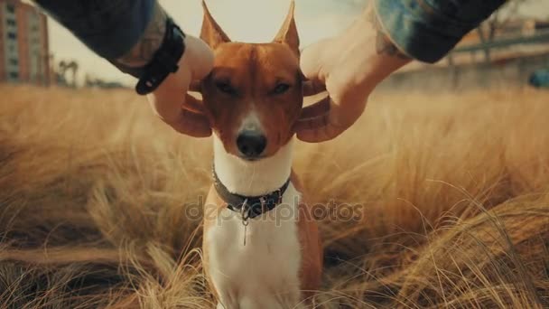 Cão da amizade e seu dono — Vídeo de Stock