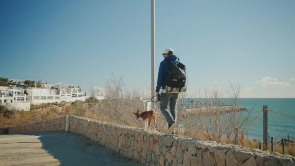 Homme aventurier marche à la journée ensoleillée — Video