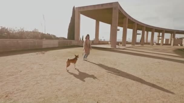 Attrayant fille promenades avec chien — Video