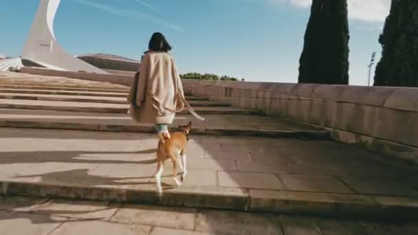 Приваблива дівчина гуляє з собакою — стокове відео