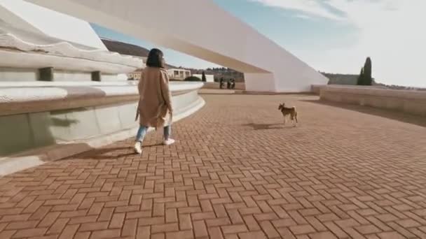 Attractive girl walks with dog Stock Footage