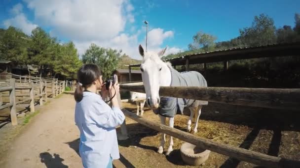 Visitante caballo granja conjunto — Vídeos de Stock