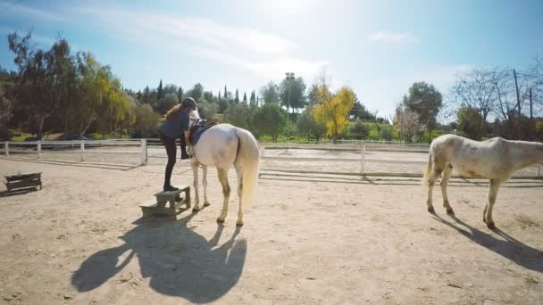 Odwiedzając horse farm zestaw — Wideo stockowe