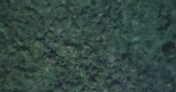 Imágenes del dron del macho activo en kayak — Vídeo de stock