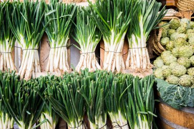 taze sağlıklı sebze