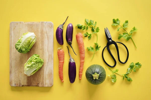 Legumes frescos e saudáveis — Fotografia de Stock