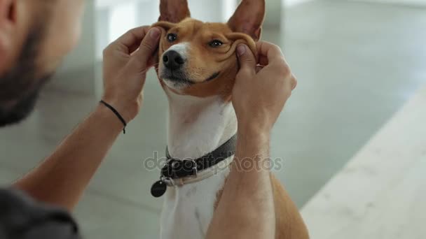 Owner and his pet Royalty Free Stock Footage