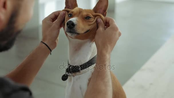 Owner and his pet — Stock Footage Owner and his pet Royalty Free Stock Footage