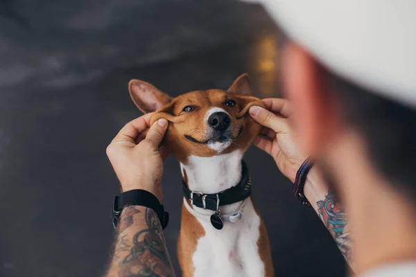 Punto di vista del proprietario del cane che gioca con il suo animale domestico — Foto Stock