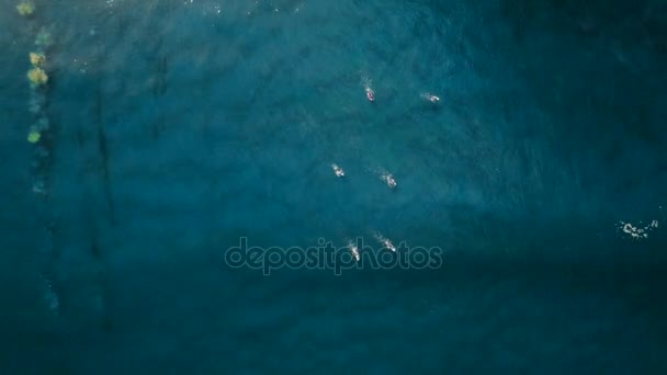 Widok z góry surferów w ocean do linii — Wideo stockowe