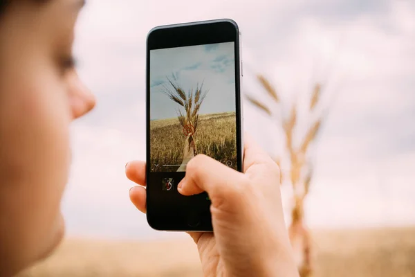 Girl taking photo of freshly picked wheat — Stock Photo, Image
