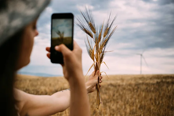 Девушка фотографирует свежесобранную пшеницу — стоковое фото