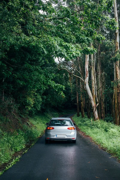 Auto tyhjällä metsätiellä — kuvapankkivalokuva