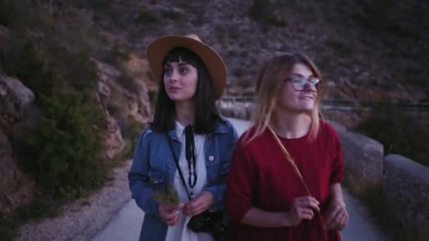 Två bästa vänner flickorna flydde i naturparken — Stockvideo