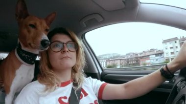Gözlük ve köpek sürücü araba kız