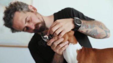 Adam köpek dişleri denetler