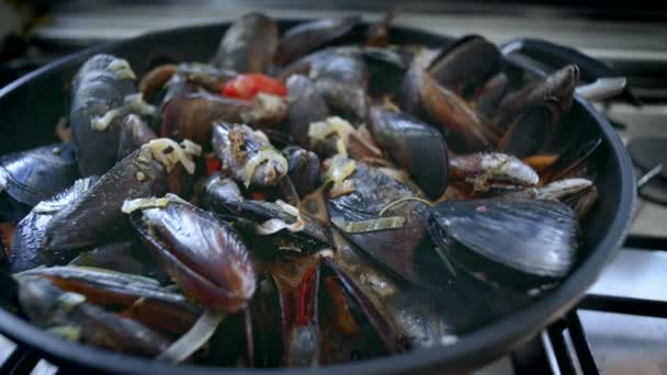 Preparing dish with seafood tasty mussels — Stock Video