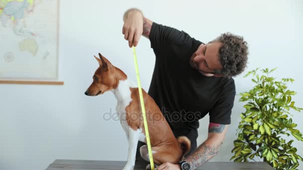 El hombre mide a su perro con la regla — Vídeo de stock