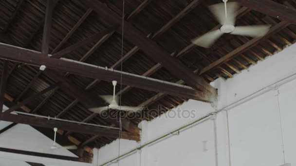 Vista su più ventilatori a soffitto che soffiano aria — Video Stock