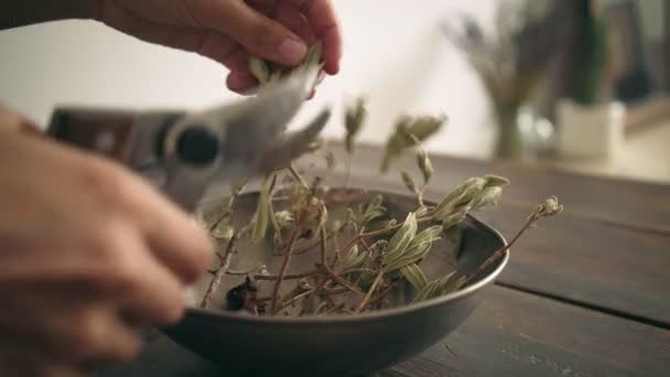 Primer plano del trabajo de floristería con tijeras de podar en ramas — Vídeos de Stock