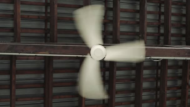 Ventilador de ar único no teto soprando vento — Vídeo de Stock