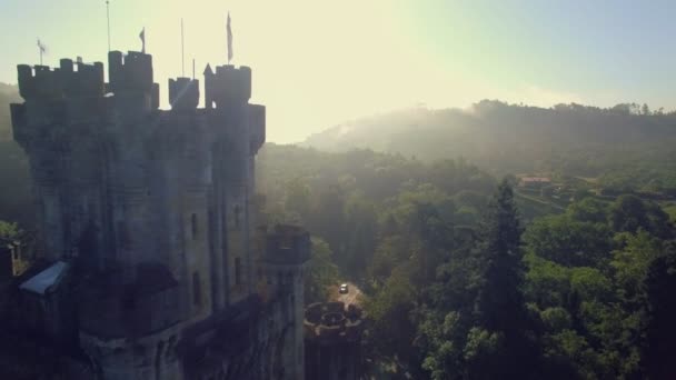 Aerial view of medieval castle in forest — Stock Video