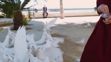 Yaz tatili heyecanlı esmer Maceraları