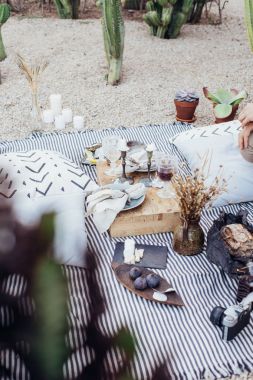 Piknik battaniyesi natürmort ayarı