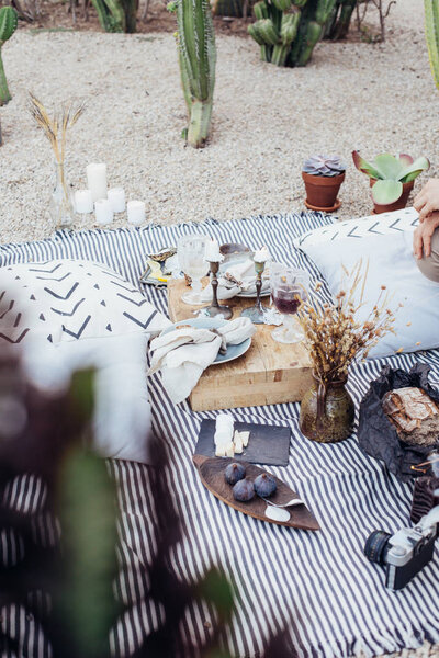Still life setting of picnic blanket