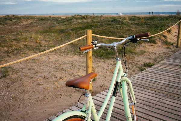 Yksinäinen kaunis minttu pyörä — kuvapankkivalokuva