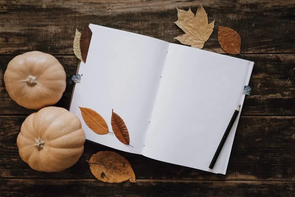 Mock up de grande caderno aberto com folhas vazias limpas brancas — Fotografia de Stock