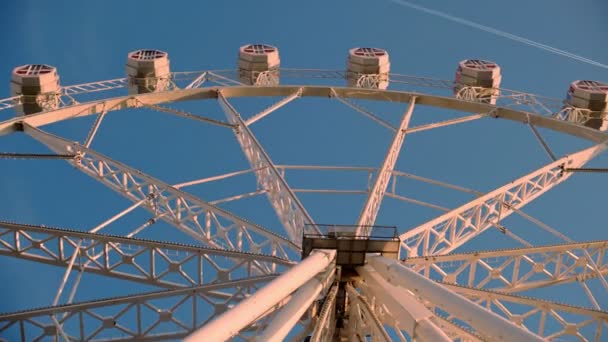 Gelukkig mooie dag in een pretpark — Stockvideo