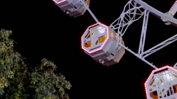 Glücklicher schöner Tag im Freizeitpark — Stockvideo