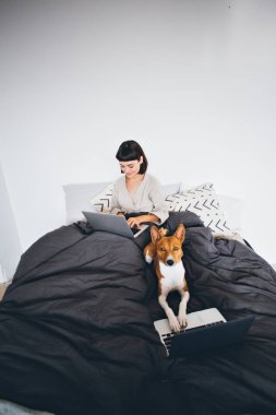 Kadın ve köpek işten eve yatak