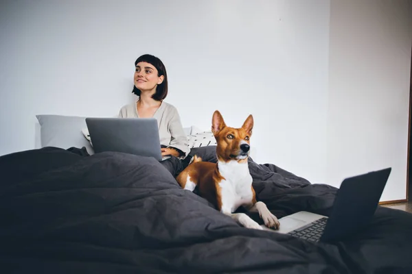 Mujer y perro trabajan desde casa cama —  Fotos de Stock