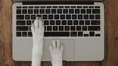 Manifatura laptop klavye üzerinde köpek pençeleri