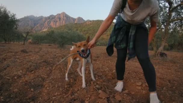 Viajando em pequena van japonesa em montanhas — Vídeo de Stock