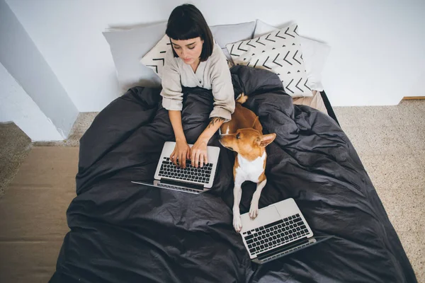Young woman working at home — Stock Photo, Image