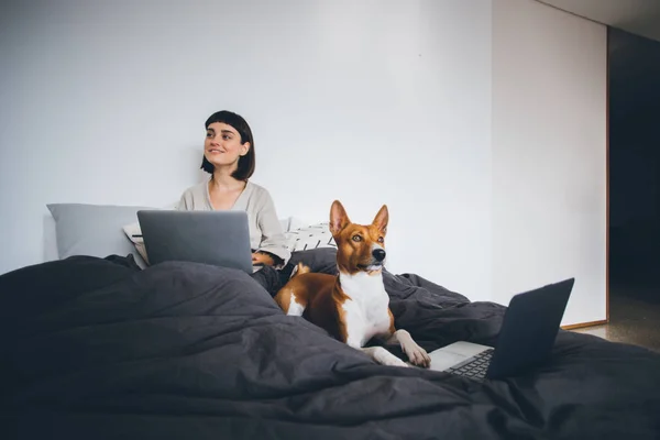 Freelancer young woman — Stock Photo, Image