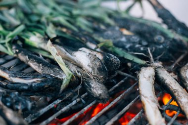 Festivaller ve piknik için geleneksel Meksika yemeği olarak kömür, taze soğan, calcots yanan ateş, ızgara, closeup vurdu