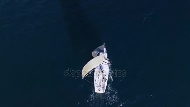 海上帆船比赛训练 — 图库视频影像