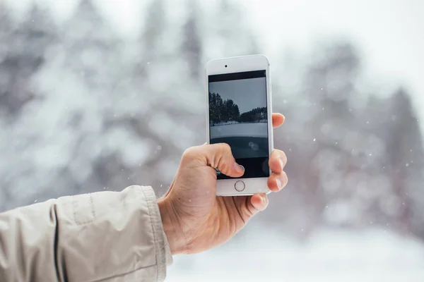 Visão Cortada Mão Pessoa Tirando Fotos Floresta Nevada Smartphone — Fotografia de Stock