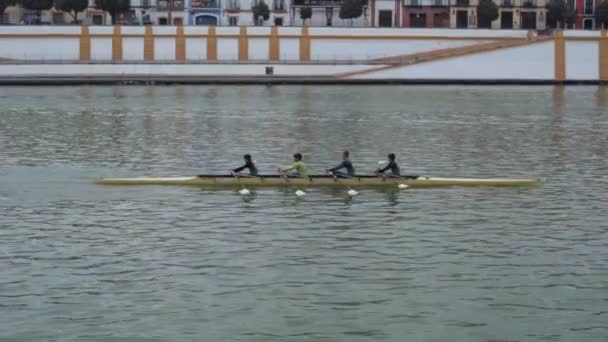 Rowing team is training in city river — Stock Video