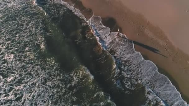 Surfer spacery tuż obok brzegu morza oceanu — Wideo stockowe