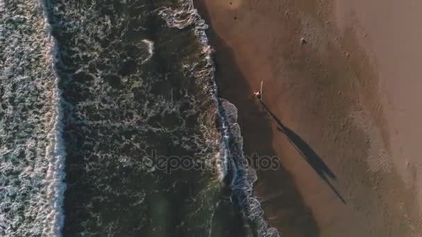 サーファーは海海海岸の横に歩く — ストック動画