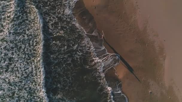 Promenades de surf à côté du bord de mer océan — Video