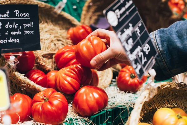 Vista Ritagliata Del Pomodoro Raccolta Mano Dal Mucchio Mercato — Foto Stock