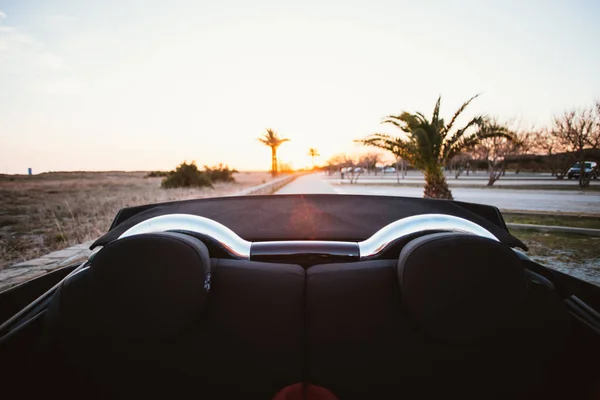 Tylnym Siedzeniu Widok Tyłu Convertible Cabrio Samochód Zachodzie Słońca Palmami — Zdjęcie stockowe